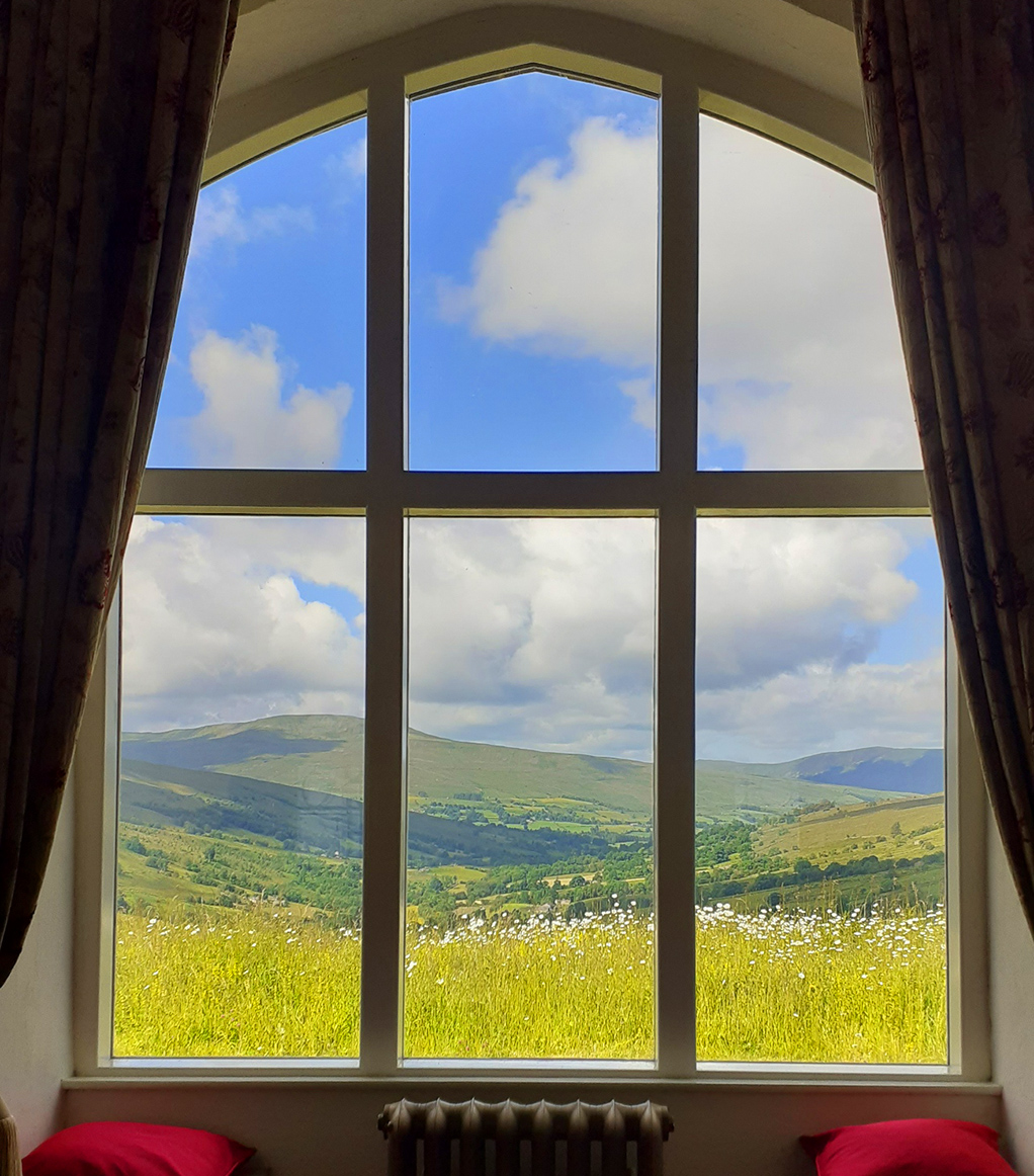 Through the window